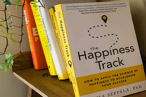 The Happiness Track by Emma Sepalia