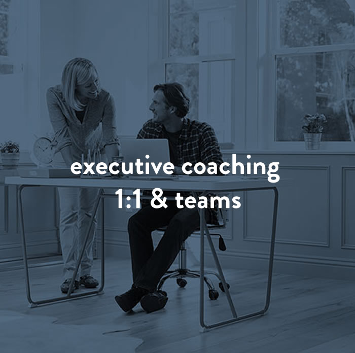 executive-coaching--1-1-Teams